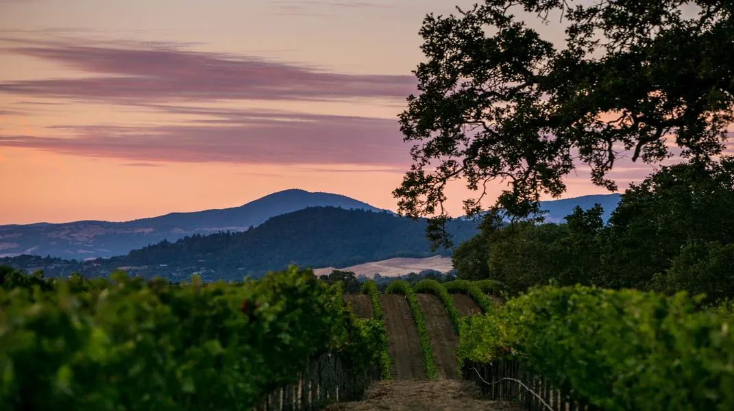 Discovering Sonoma: A Comprehensive Guide to the Heart of Wine Country