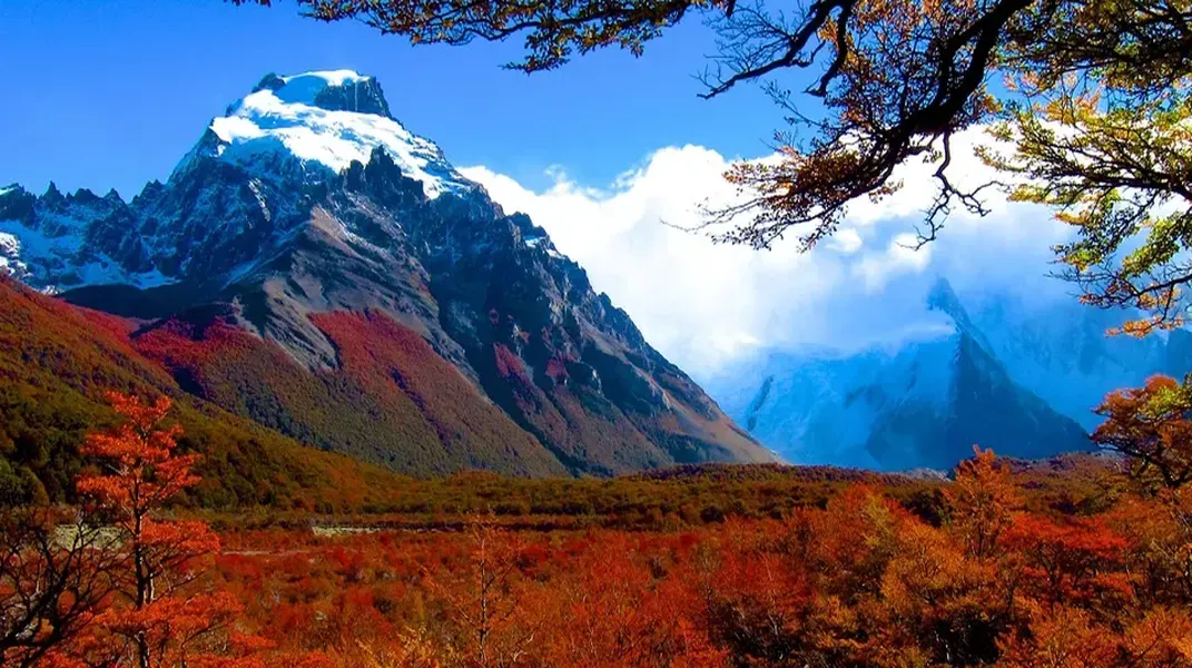 Discovering Argentine Patagonia: A Journey Through Nature's Masterpiece