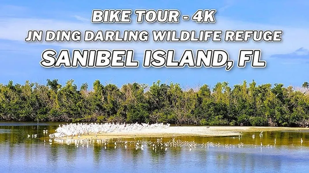 Discovering Sanibel Island: A Paradise for Nature Lovers and Beach Enthusiasts