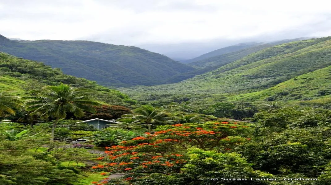 Exploring Maui: The Jewel of Hawaii