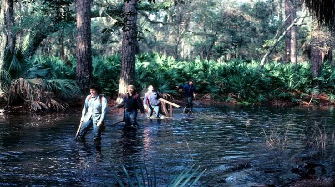 St. Catherine's Island: A Hidden Gem for Nature Lovers and History Buffs