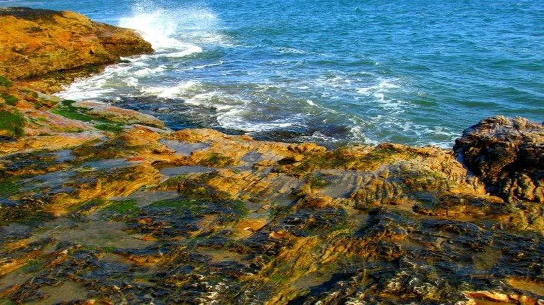 Exploring Natural Bridges State Beach: A Coastal Gem of California