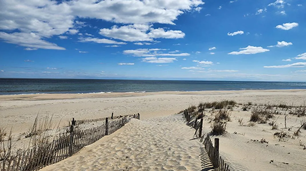 Discovering Cape Henlopen State Park: A Coastal Gem