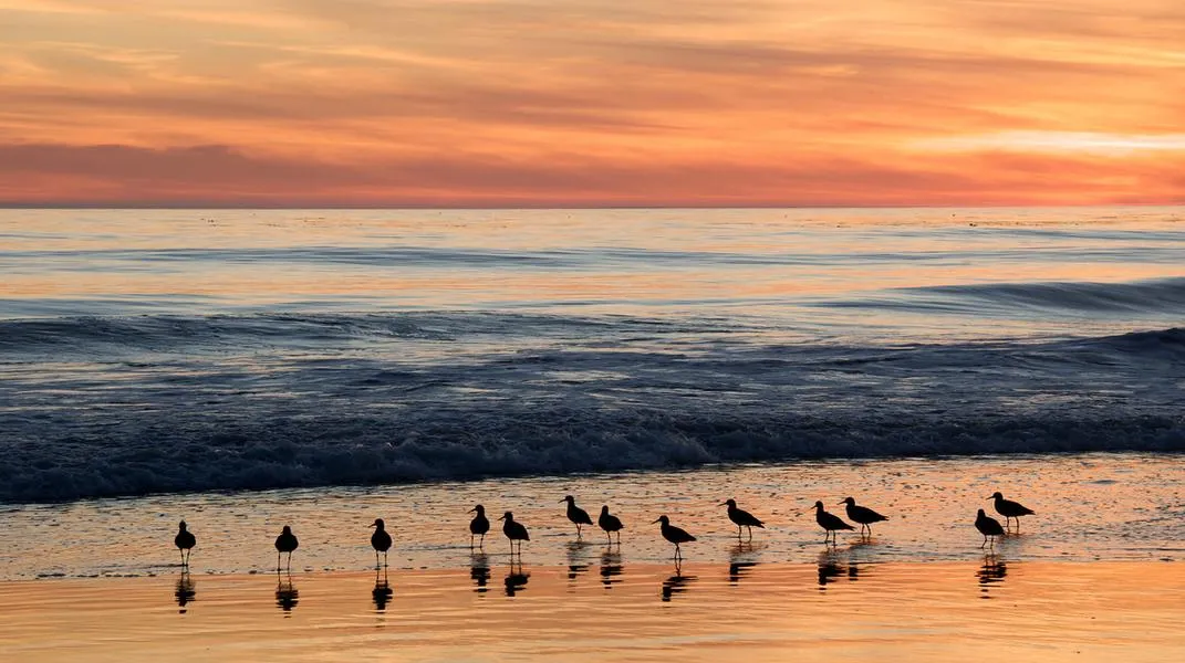 Exploring Carpinteria: A Coastal Gem in Southern California