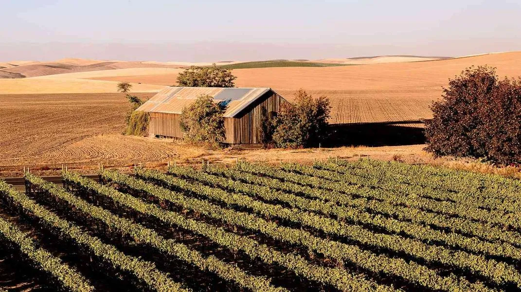 Exploring Walla Walla: A Wine Lover's Paradise