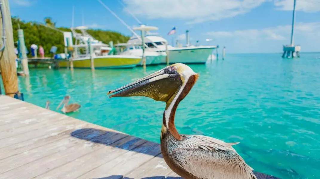 Exploring Islamorada: The Jewel of the Florida Keys