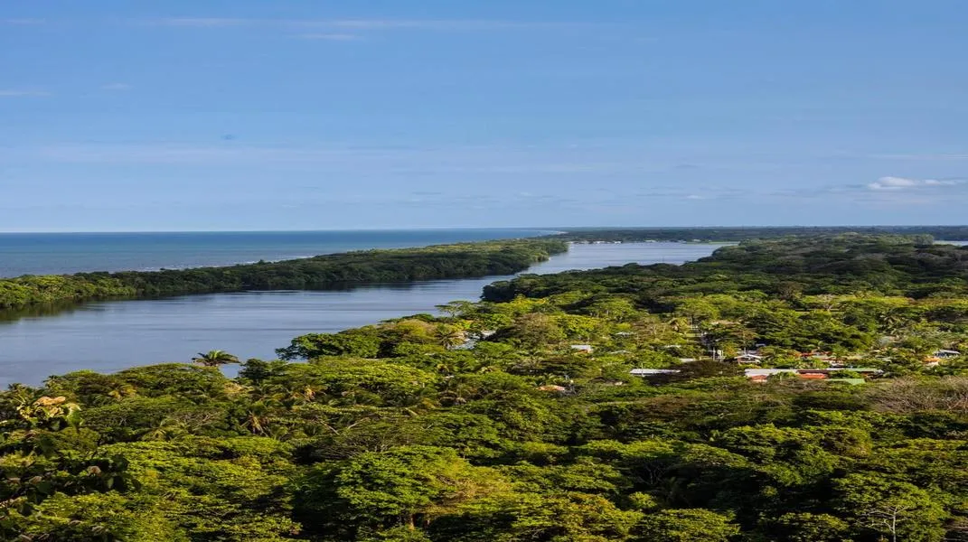 Exploring Tortuguero: A Tropical Paradise for Nature Lovers