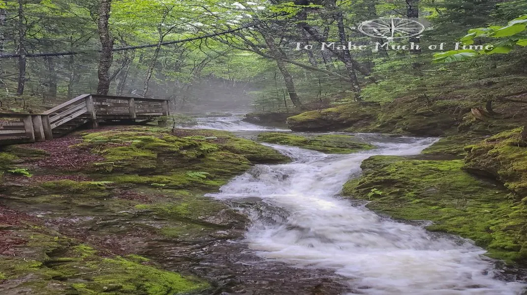 Discovering Fundy National Park: A Natural Wonderland