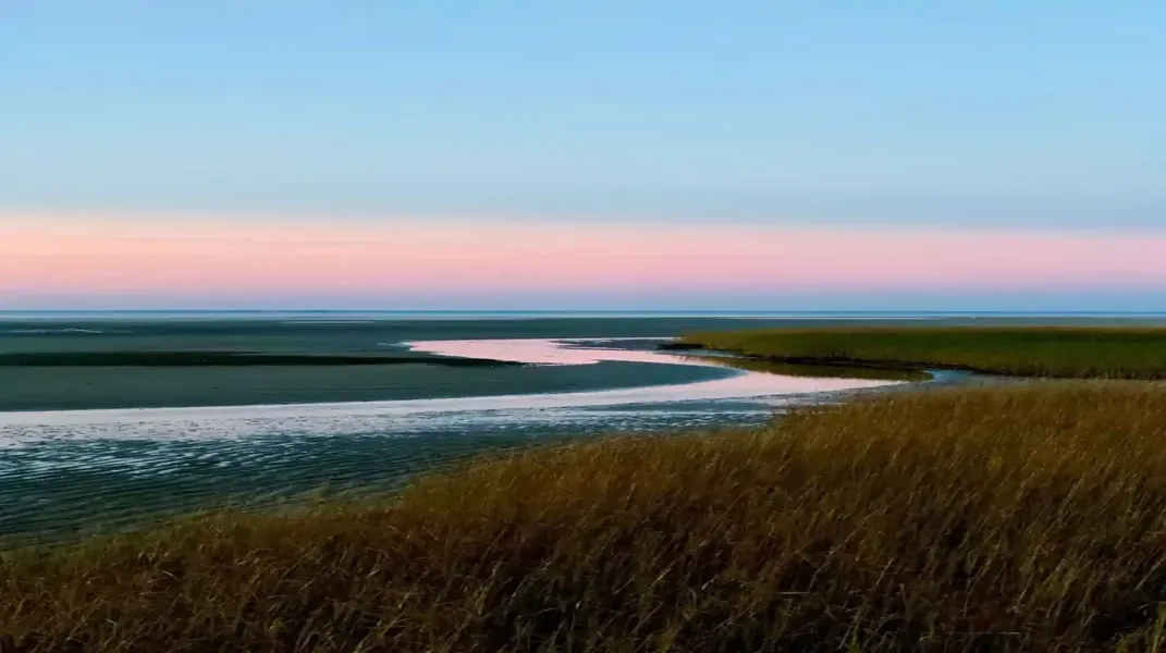 Exploring Cold Storage Beach: A Coastal Gem for Nature Lovers