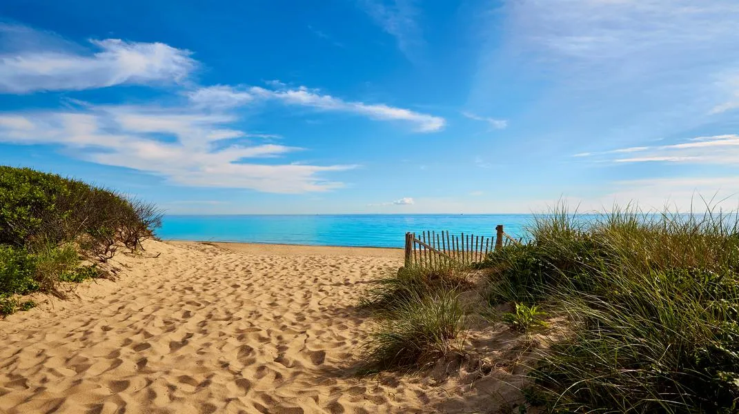 Discovering Marconi Beach: A Coastal Gem in Cape Cod