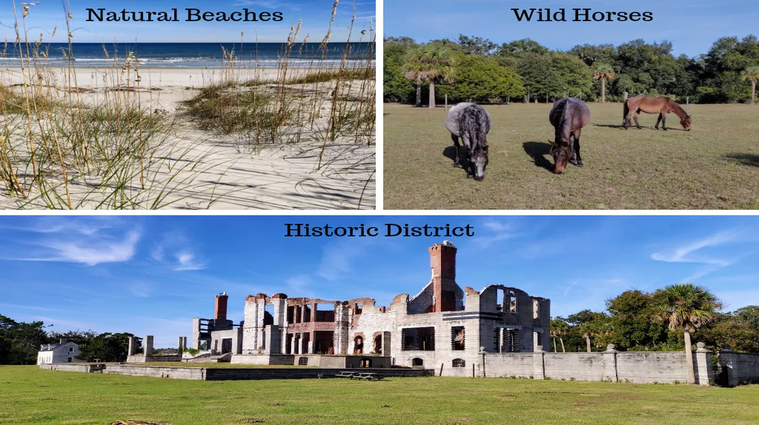 Discovering Cumberland Island National Seashore: A Nature Lover's Paradise