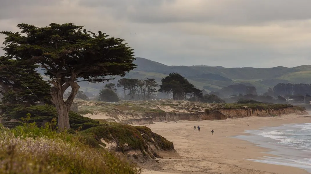 Discovering Half Moon Bay: A Coastal Gem