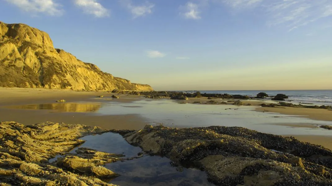 Discovering Crystal Cove State Park: A Coastal Gem of Southern California