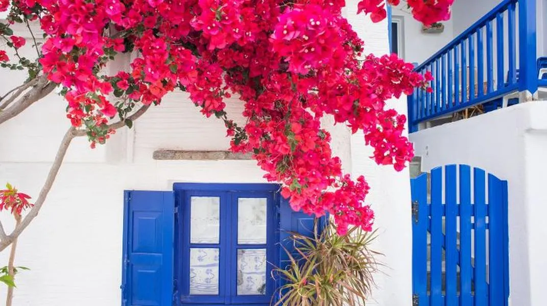 Discovering Milos: The Enchanting Greek Island