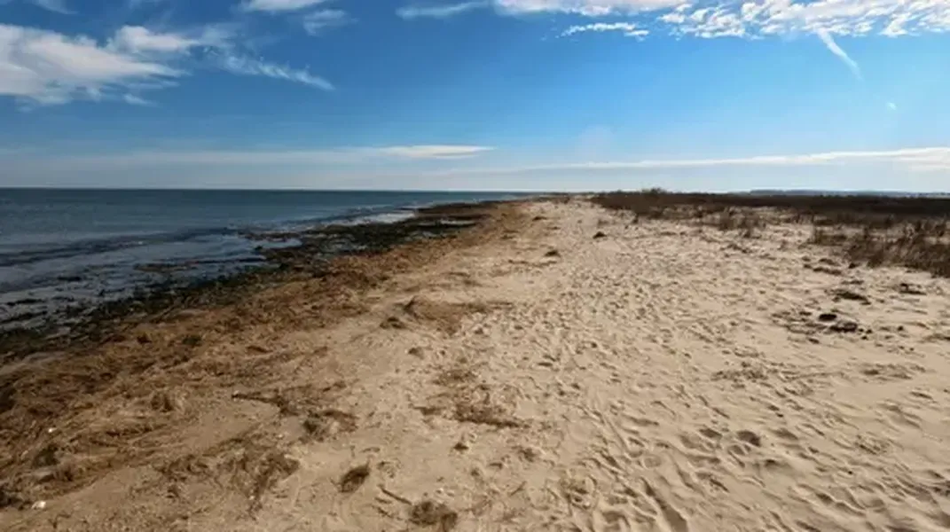 Exploring Bethel Beach Natural Area Preserve: A Hidden Gem on Virginia’s Coast