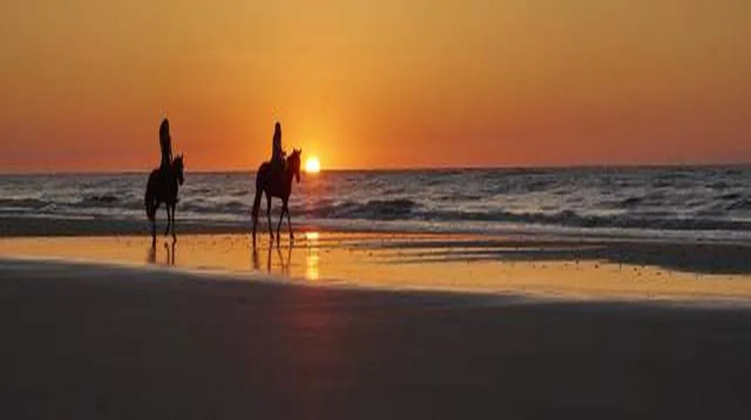 Discovering the Golden Isles: An Unforgettable Coastal Getaway