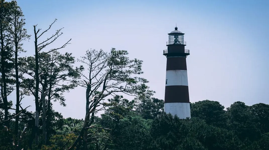 Discovering Chincoteague: A Coastal Gem of Nature and Adventure