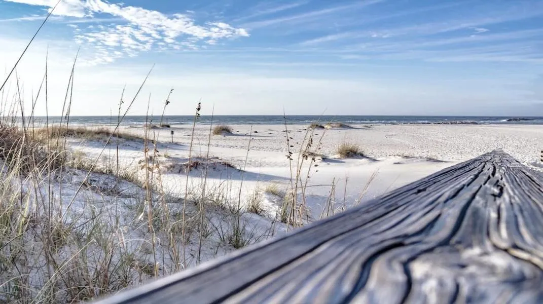 Exploring Orange Beach: A Jewel of the Gulf Coast