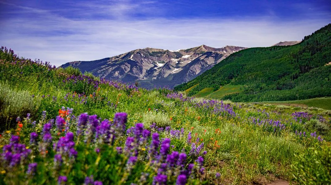 Crested Butte: A Gem of the Rocky Mountains