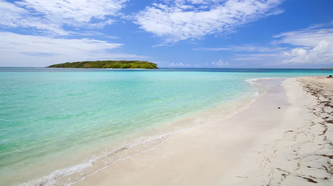 Discovering Vieques: A Caribbean Paradise