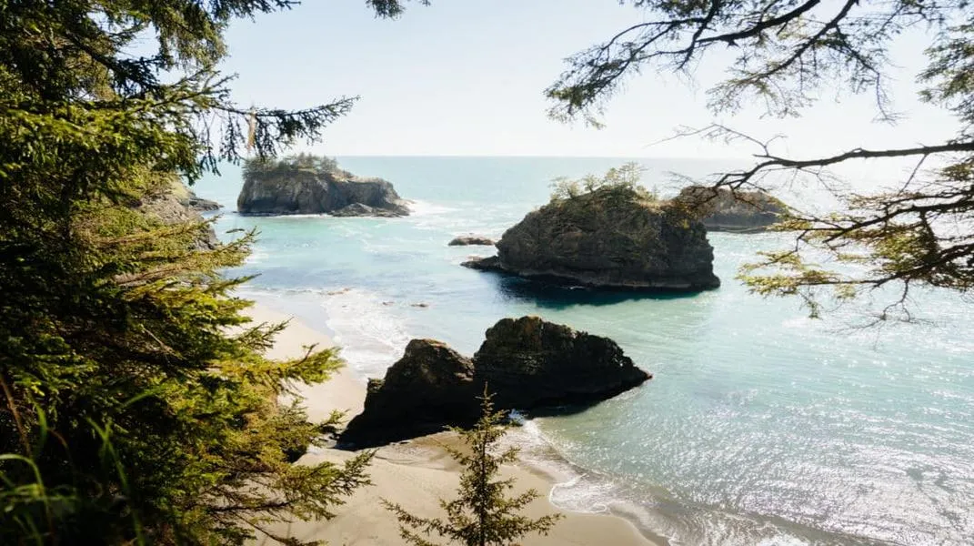 Discovering Brookings: A Coastal Gem in Oregon