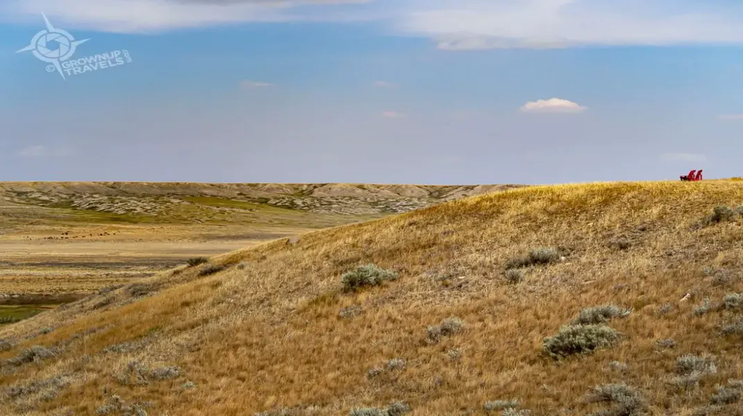 Exploring the Wonders of Grasslands National Park: A Comprehensive Guide for Visitors