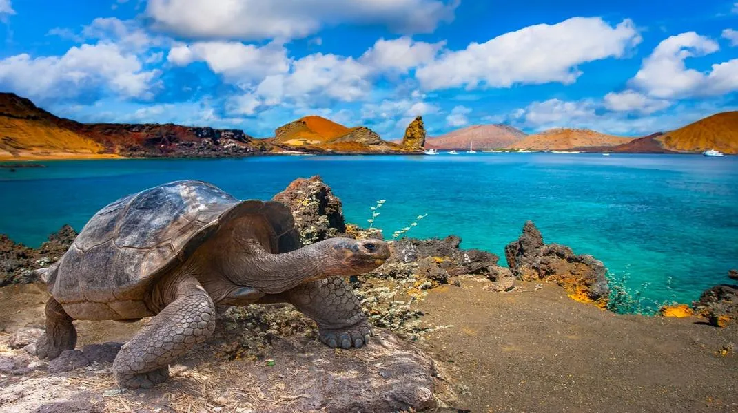 Discovering the Galapagos Islands: A Unique Tourist Attraction