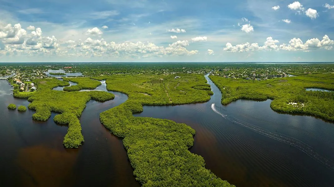 Everglades National Park: A Natural Wonder