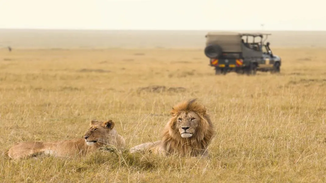 Exploring the Wonders of Masai Mara National Reserve: A Comprehensive Guide for Tourists