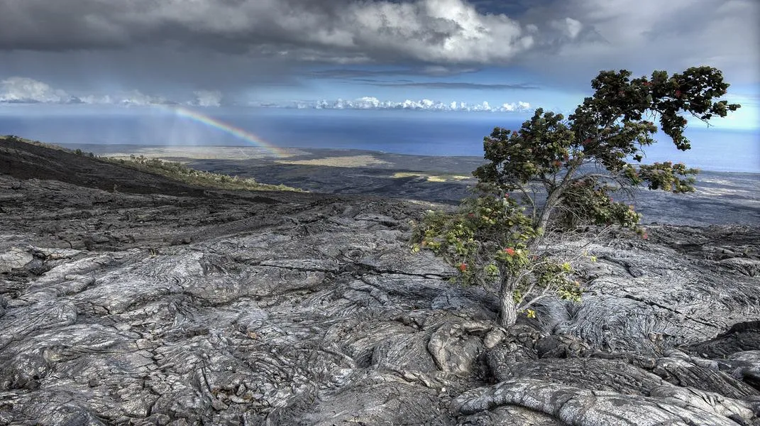 Exploring Hawai'i Volcanoes National Park: A Journey Through Fire and Earth