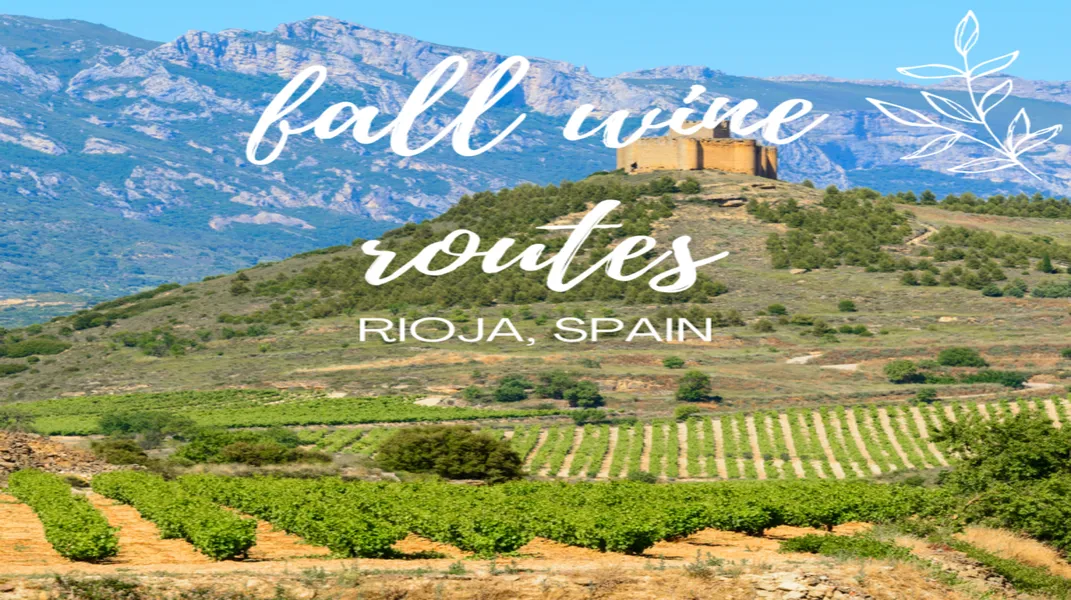 Exploring Rioja: A Wine Lover’s Paradise