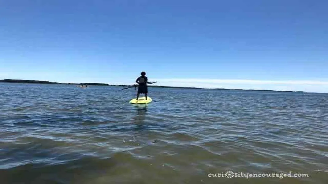 Discover the Magic of Assateague Island: A Guide to Your Next Adventure