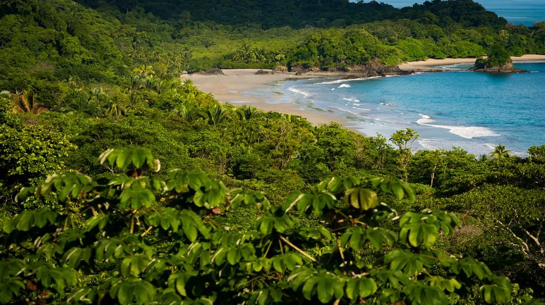 Exploring Manuel Antonio National Park: A Tropical Paradise