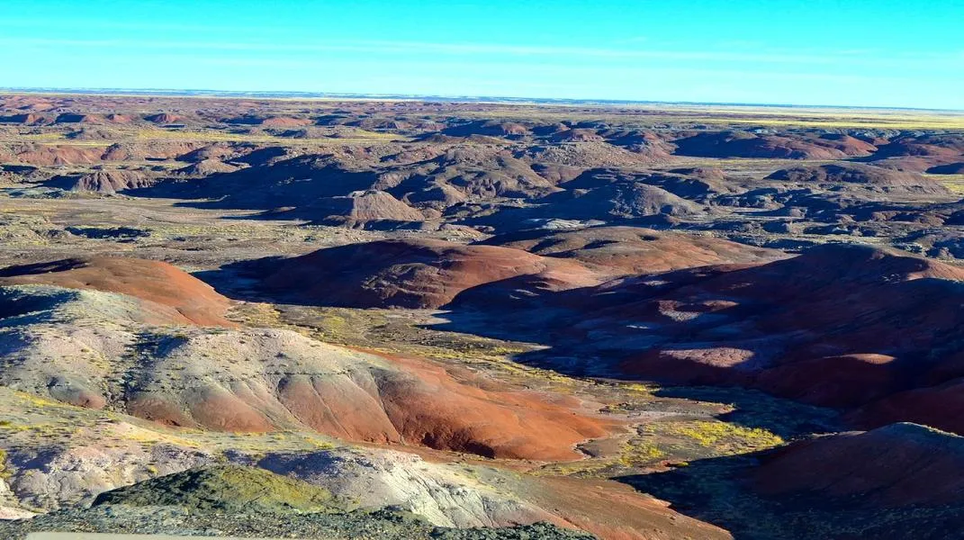 Exploring the Wonders of Petrified Forest National Park