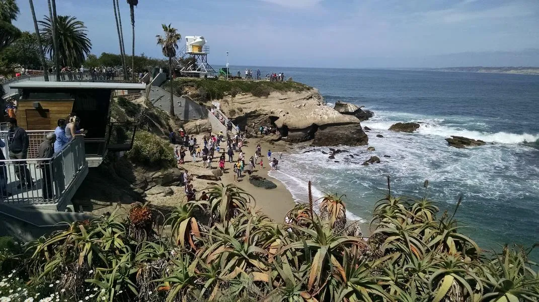 Exploring La Jolla: A Coastal Gem in San Diego