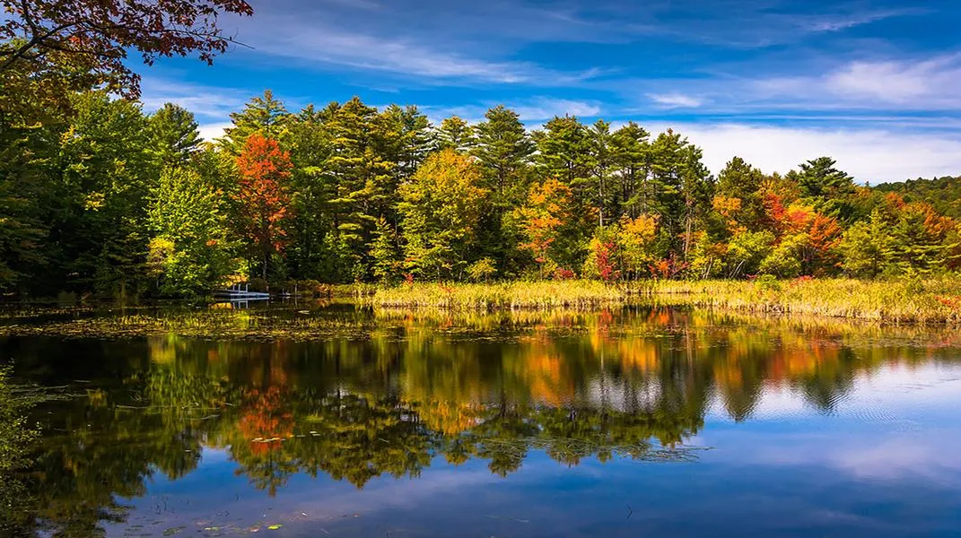 Discovering Belfast, Maine: A Coastal Gem of New England