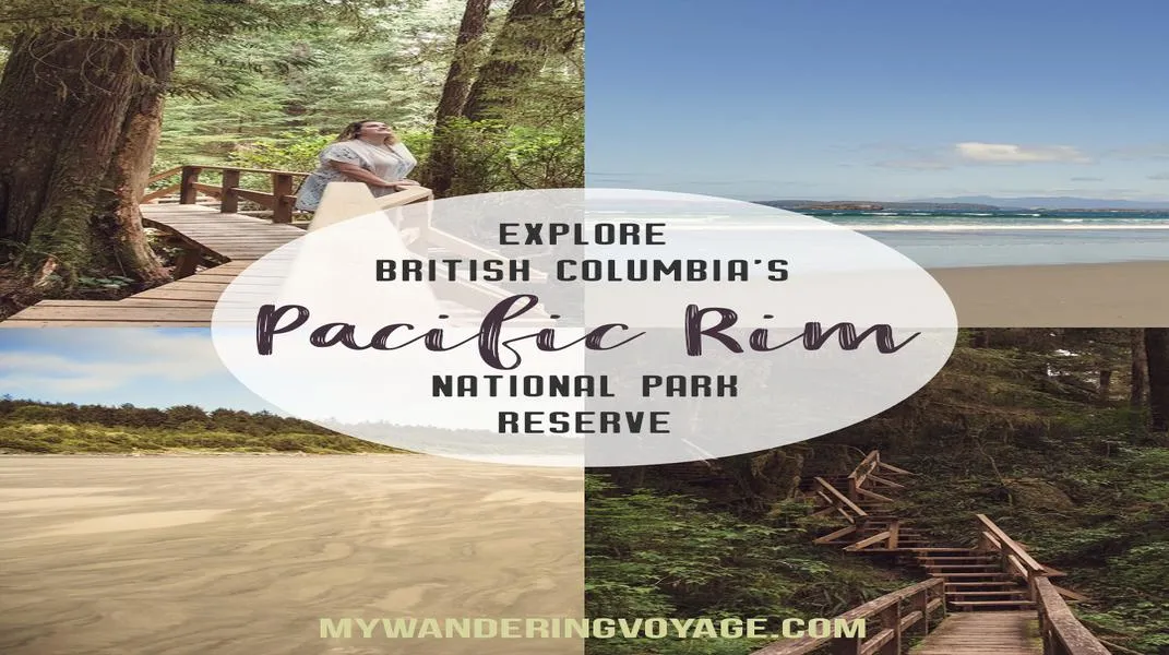 Exploring the Wonders of Pacific Rim National Park Reserve: A Comprehensive Guide