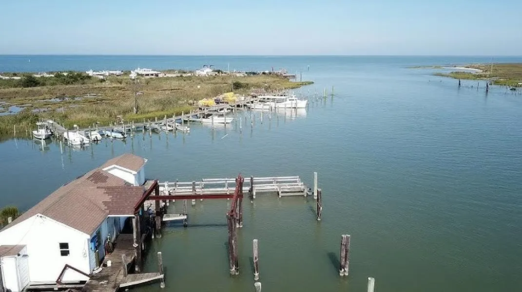 Discovering Tangier Island: A Hidden Gem in the Chesapeake Bay